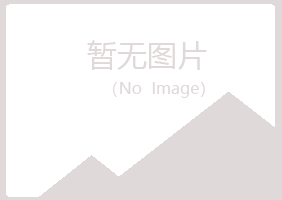 白银平川凌珍工程有限公司